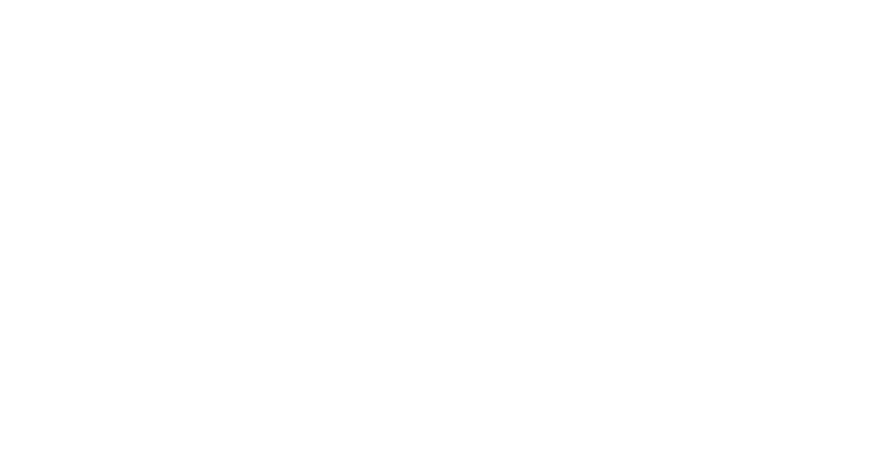 Wine Guardian